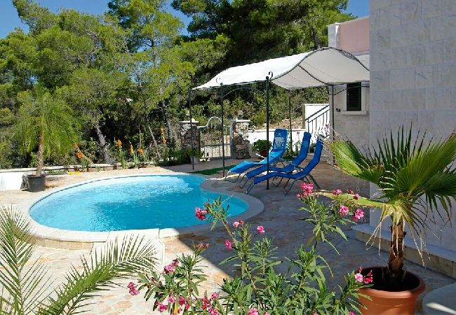 House in Vela Luka - Holiday Home in Tri Porte (Potirna) with Seaview, Terrace, Air condition, WIFI (39-1) House in Vela Luka - Holiday Home in Tri Porte (Potirna) with Seaview, Terrace, Air condition, WIFI (39-1)