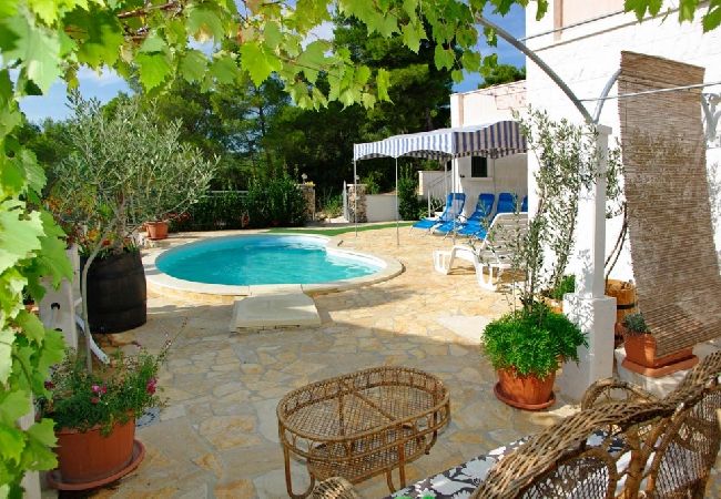 House in Vela Luka - Holiday Home in Tri Porte (Potirna) with Seaview, Terrace, Air condition, WIFI (39-1) House in Vela Luka - Holiday Home in Tri Porte (Potirna) with Seaview, Terrace, Air condition, WIFI (39-1)