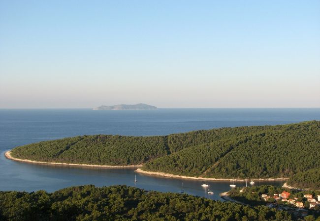 House in Vela Luka - Holiday Home in Tri Porte (Potirna) with Seaview, Terrace, Air condition, WIFI (39-1) House in Vela Luka - Holiday Home in Tri Porte (Potirna) with Seaview, Terrace, Air condition, WIFI (39-1)