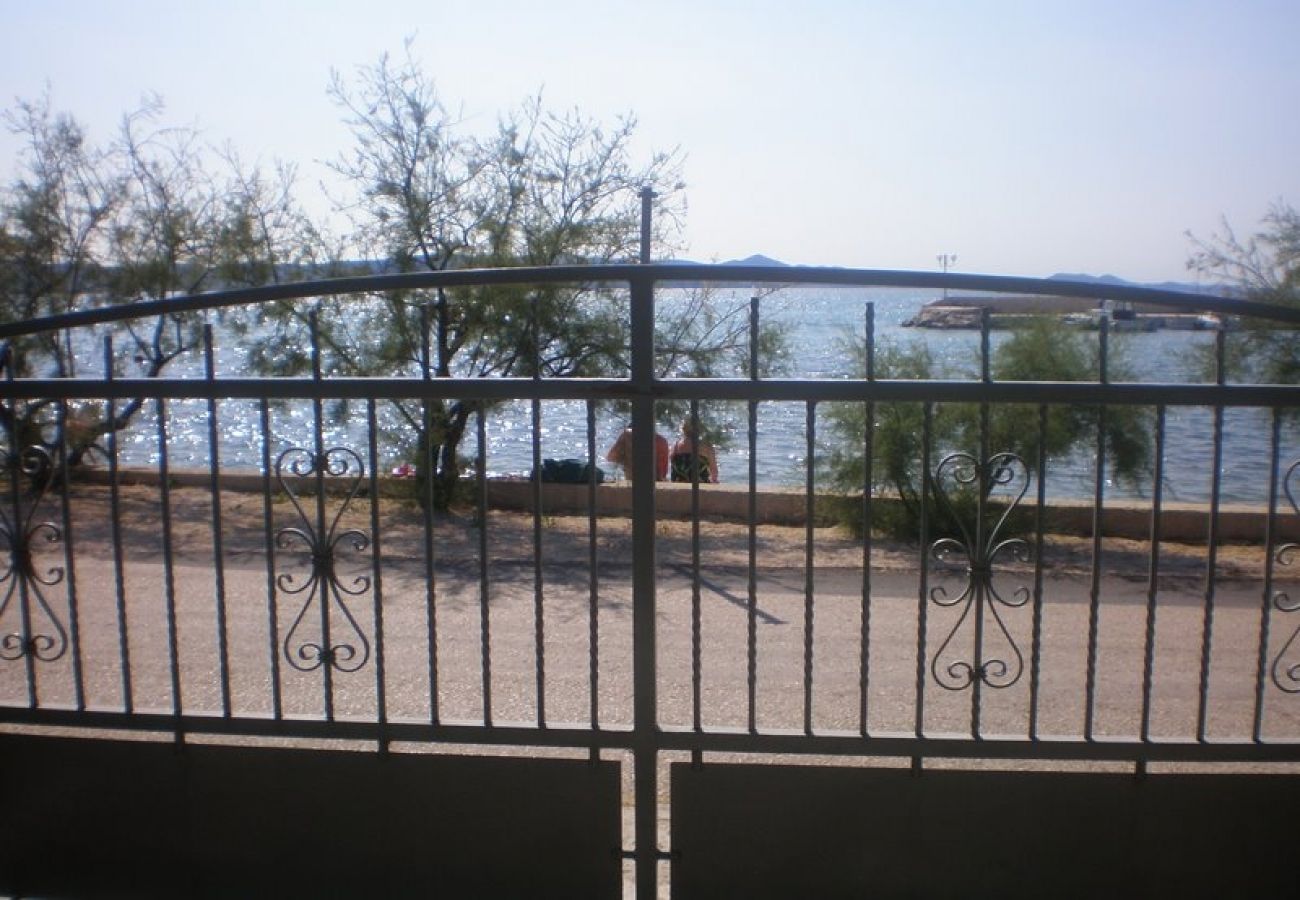 Apartment in Bibinje - Apartment in Bibinje with Seaview, Balcony, Air condition, WIFI (59-2)