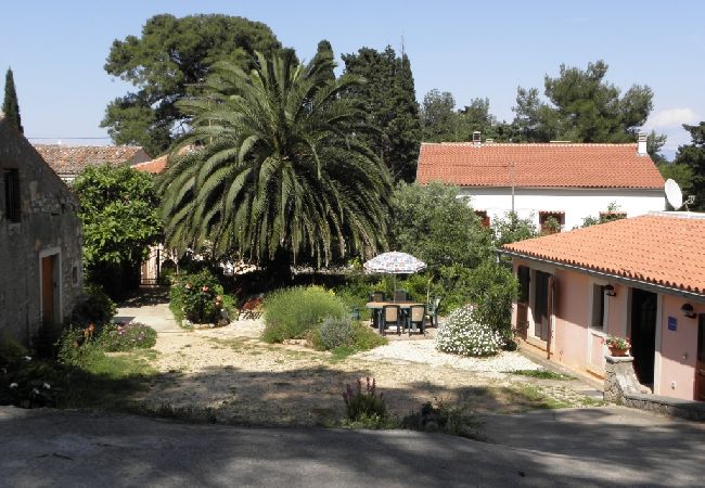 House in Veli Lošinj - Holiday Home in Veli Lošinj with Terrace, Air condition, WIFI, Washing machine (63-1) House in Veli Lošinj - Holiday Home in Veli Lošinj with Terrace, Air condition, WIFI, Washing machine (63-1)