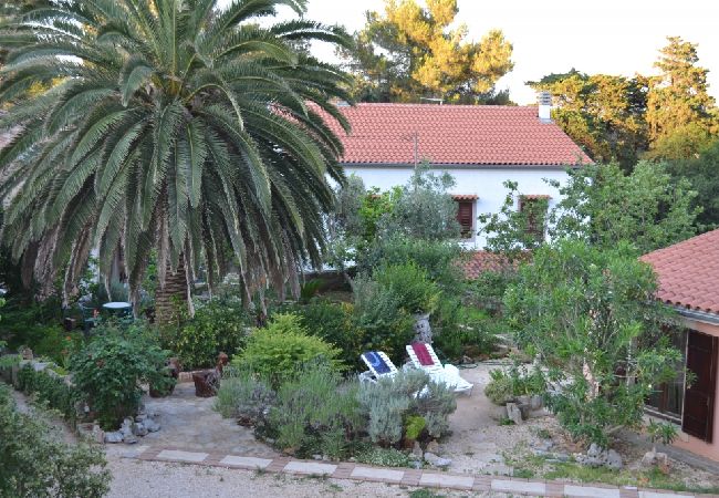 House in Veli Lošinj - Holiday Home in Veli Lošinj with Terrace, Air condition, WIFI, Washing machine (63-1) House in Veli Lošinj - Holiday Home in Veli Lošinj with Terrace, Air condition, WIFI, Washing machine (63-1)