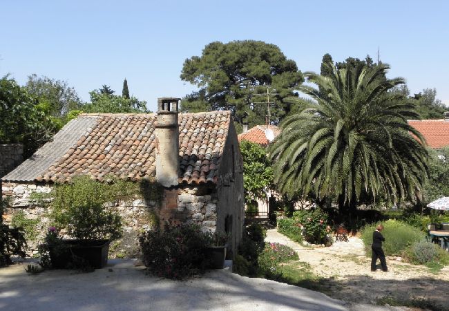 House in Veli Lošinj - Holiday Home in Veli Lošinj with Terrace, Air condition, WIFI, Washing machine (63-1) House in Veli Lošinj - Holiday Home in Veli Lošinj with Terrace, Air condition, WIFI, Washing machine (63-1)
