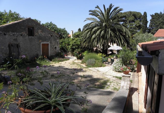 House in Veli Lošinj - Holiday Home in Veli Lošinj with Terrace, Air condition, WIFI, Washing machine (63-1) House in Veli Lošinj - Holiday Home in Veli Lošinj with Terrace, Air condition, WIFI, Washing machine (63-1)