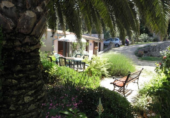 House in Veli Lošinj - Holiday Home in Veli Lošinj with Terrace, Air condition, WIFI, Washing machine (63-1) House in Veli Lošinj - Holiday Home in Veli Lošinj with Terrace, Air condition, WIFI, Washing machine (63-1)