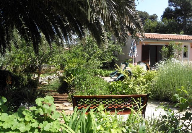 House in Veli Lošinj - Holiday Home in Veli Lošinj with Terrace, Air condition, WIFI, Washing machine (63-1) House in Veli Lošinj - Holiday Home in Veli Lošinj with Terrace, Air condition, WIFI, Washing machine (63-1)