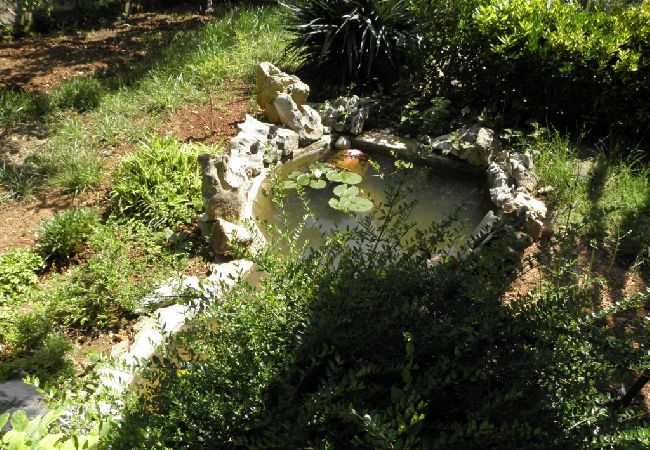 House in Veli Lošinj - Holiday Home in Veli Lošinj with Terrace, Air condition, WIFI, Washing machine (63-1) House in Veli Lošinj - Holiday Home in Veli Lošinj with Terrace, Air condition, WIFI, Washing machine (63-1)
