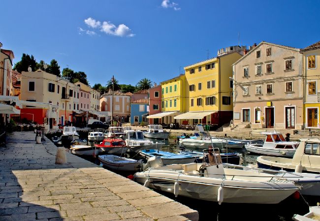 House in Veli Lošinj - Holiday Home in Veli Lošinj with Terrace, Air condition, WIFI, Washing machine (63-1) House in Veli Lošinj - Holiday Home in Veli Lošinj with Terrace, Air condition, WIFI, Washing machine (63-1)