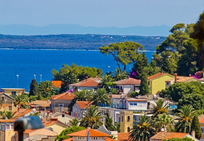 House in Veli Lošinj - Holiday Home in Veli Lošinj with Terrace, Air condition, WIFI, Washing machine (63-1) House in Veli Lošinj - Holiday Home in Veli Lošinj with Terrace, Air condition, WIFI, Washing machine (63-1)