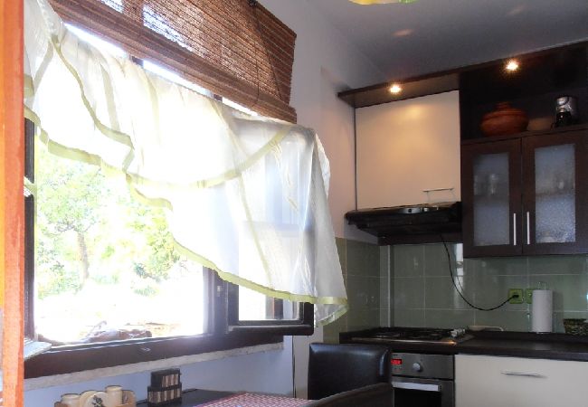 Apartment in Veli Lošinj - Apartment in Veli Lošinj with Terrace, Air condition, WIFI, Washing machine (63-2) Apartment in Veli Lošinj - Apartment in Veli Lošinj with Terrace, Air condition, WIFI, Washing machine (63-2)