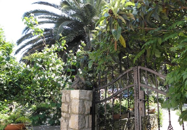 Apartment in Veli Lošinj - Apartment in Veli Lošinj with Terrace, Air condition, WIFI, Washing machine (63-2) Apartment in Veli Lošinj - Apartment in Veli Lošinj with Terrace, Air condition, WIFI, Washing machine (63-2)