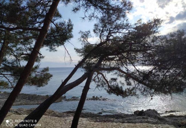 Apartment in Mali Lošinj - Apartment in Mali Lošinj with Balcony, Air condition, WIFI (72-1) Apartment in Mali Lošinj - Apartment in Mali Lošinj with Balcony, Air condition, WIFI (72-1)