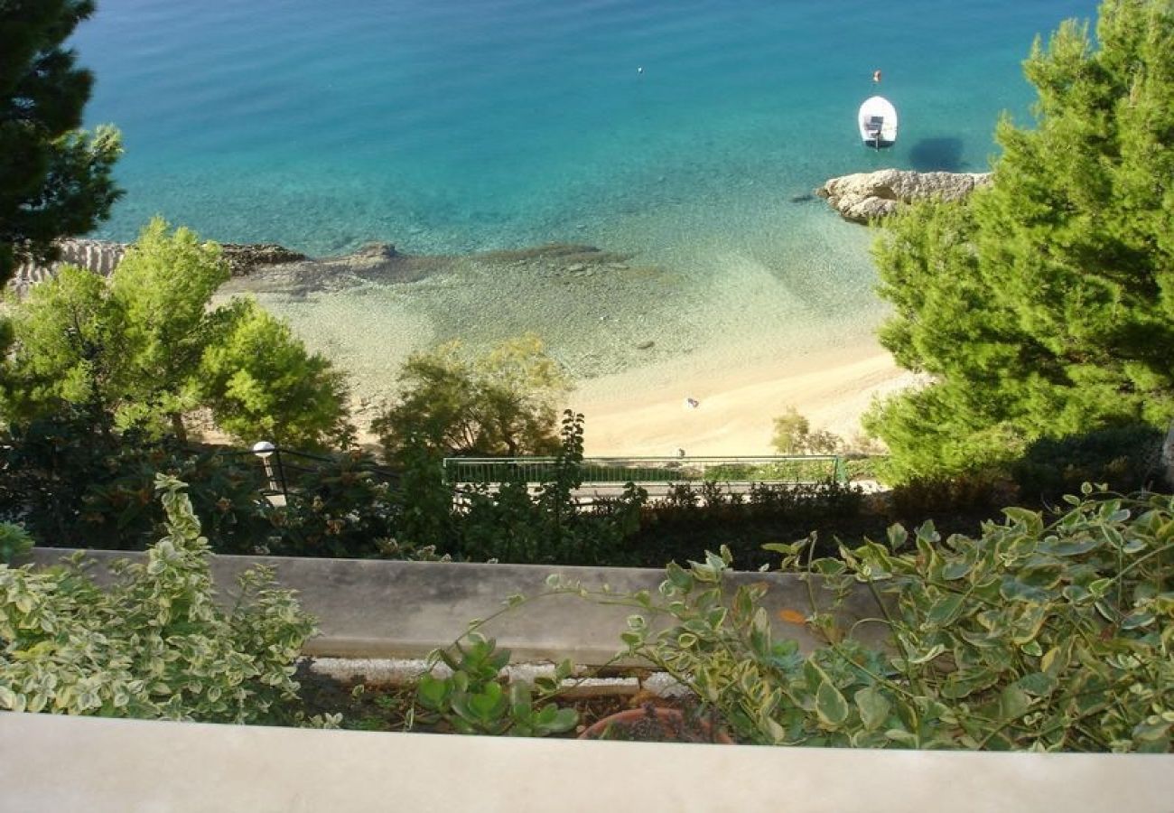 Apartment in Brela - Apartment in Brela with Seaview, Balcony, Air condition, WIFI (75-1)