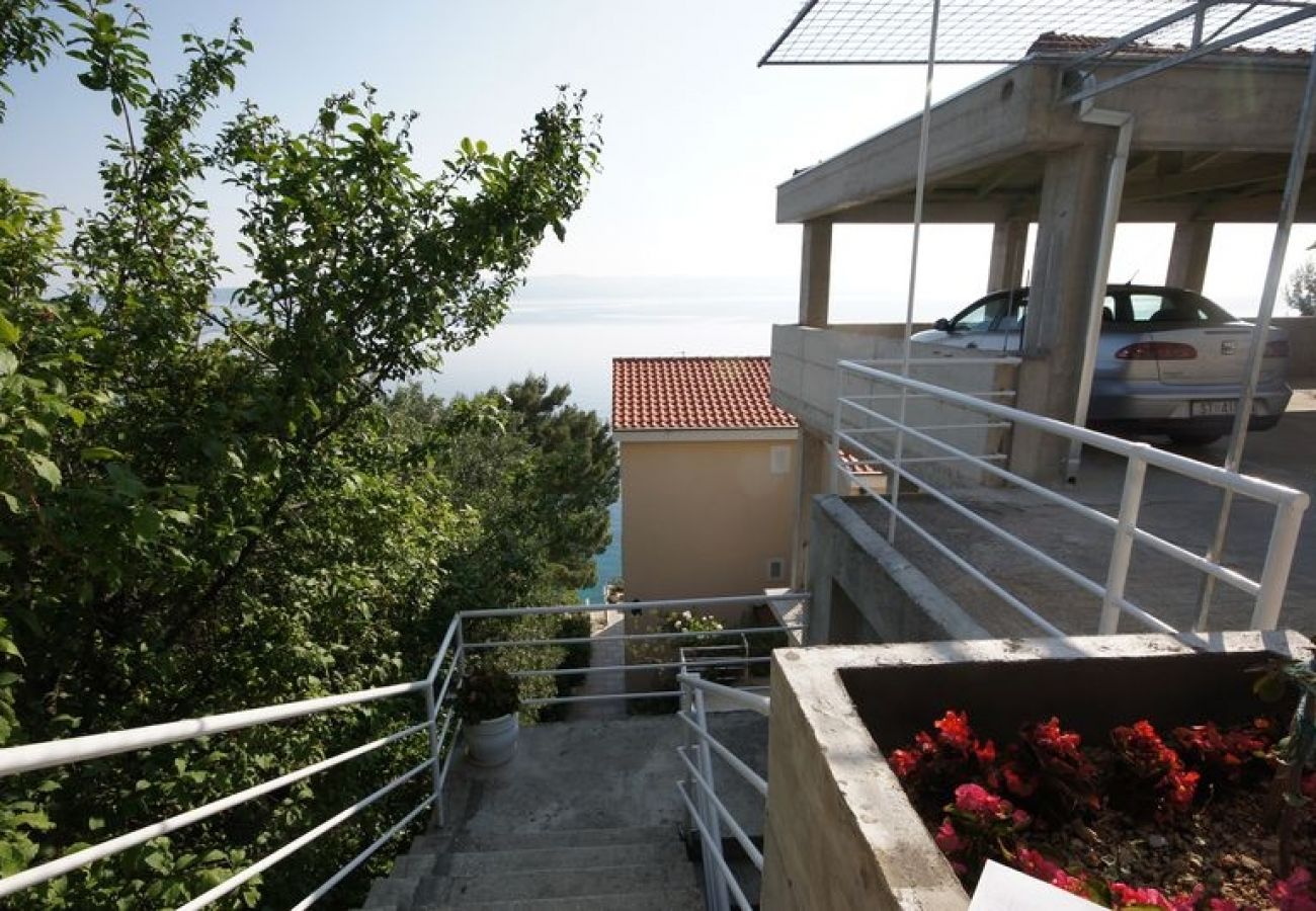 Apartment in Brela - Apartment in Brela with Seaview, Balcony, Air condition, WIFI (75-1)