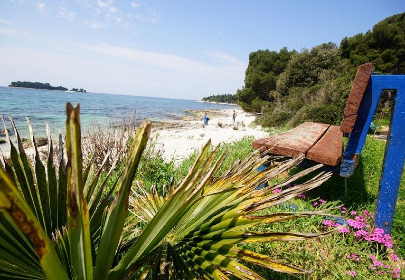 Rent by room in Rovinj - Room in Rovinj with Seaview, Balcony, Air condition, WIFI (81-3)