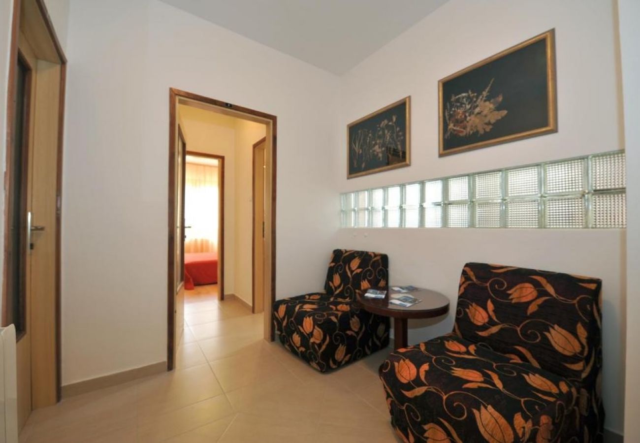 Rent by room in Rovinj - Room in Rovinj with Balcony, Air condition, WIFI, Washing machine (96-1)