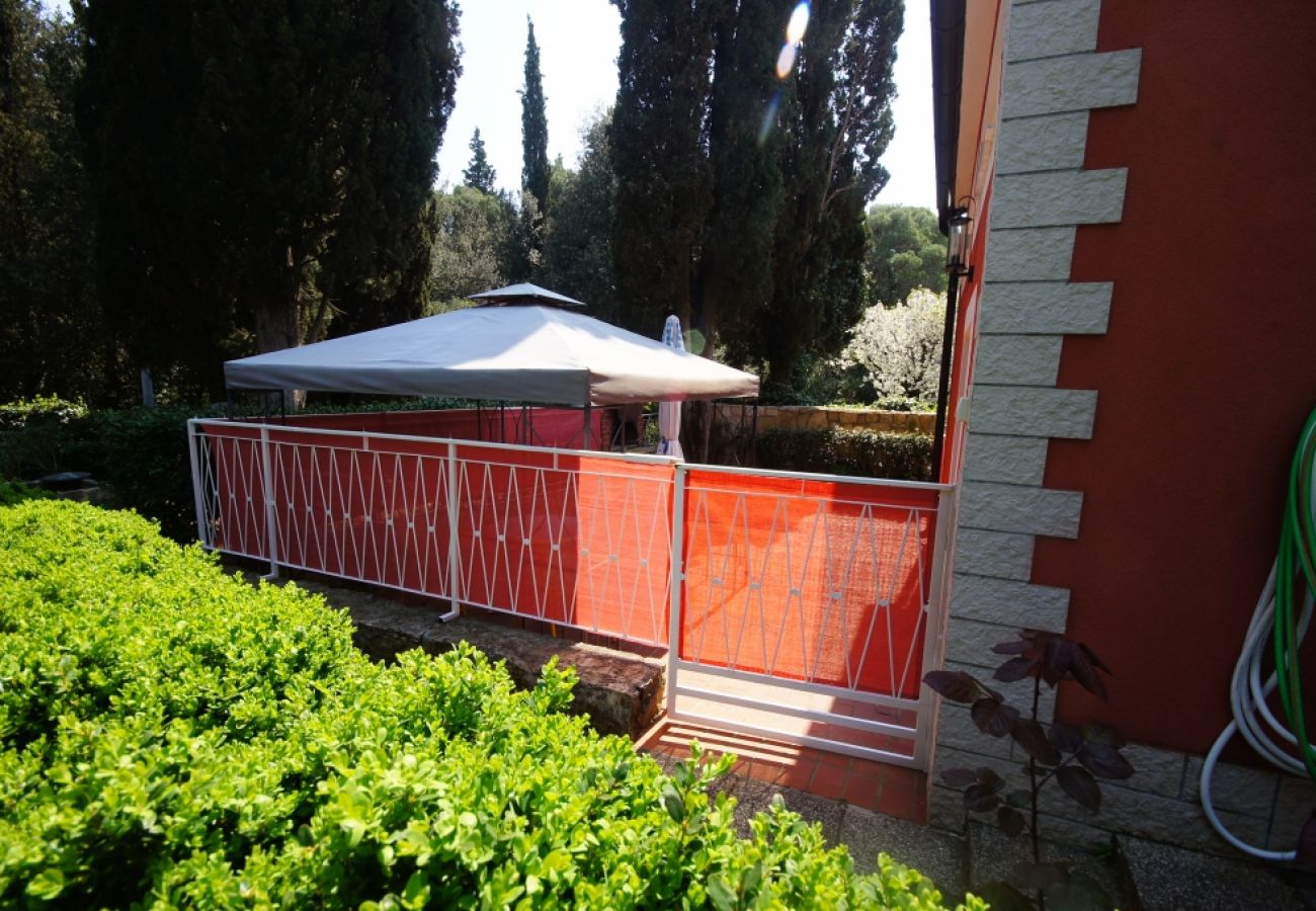 Rent by room in Rovinj - Room in Rovinj with Balcony, Air condition, WIFI, Washing machine (96-1)