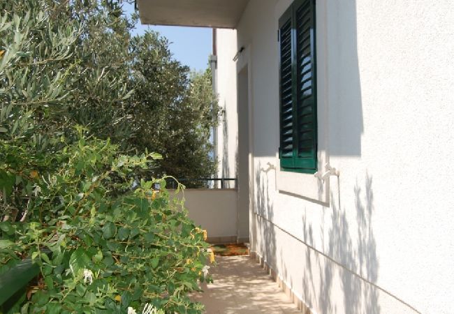 Apartment in Pisak - Apartment in Pisak with Seaview, Terrace, Air condition, WIFI (102-3) Apartment in Pisak - Apartment in Pisak with Seaview, Terrace, Air condition, WIFI (102-3)