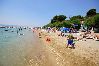 Apartment in Duce - Apartment in Duće with Terrace, Air condition, WIFI (122-3)
