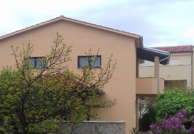 Apartment in Murter - Apartment in Murter with Terrace, Air condition, WIFI, Washing machine (125-3) Apartment in Murter - Apartment in Murter with Terrace, Air condition, WIFI, Washing machine (125-3)