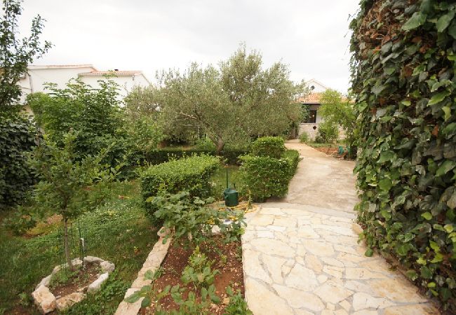 Apartment in Murter - Apartment in Murter with Terrace, Air condition, WIFI, Washing machine (125-3) Apartment in Murter - Apartment in Murter with Terrace, Air condition, WIFI, Washing machine (125-3)