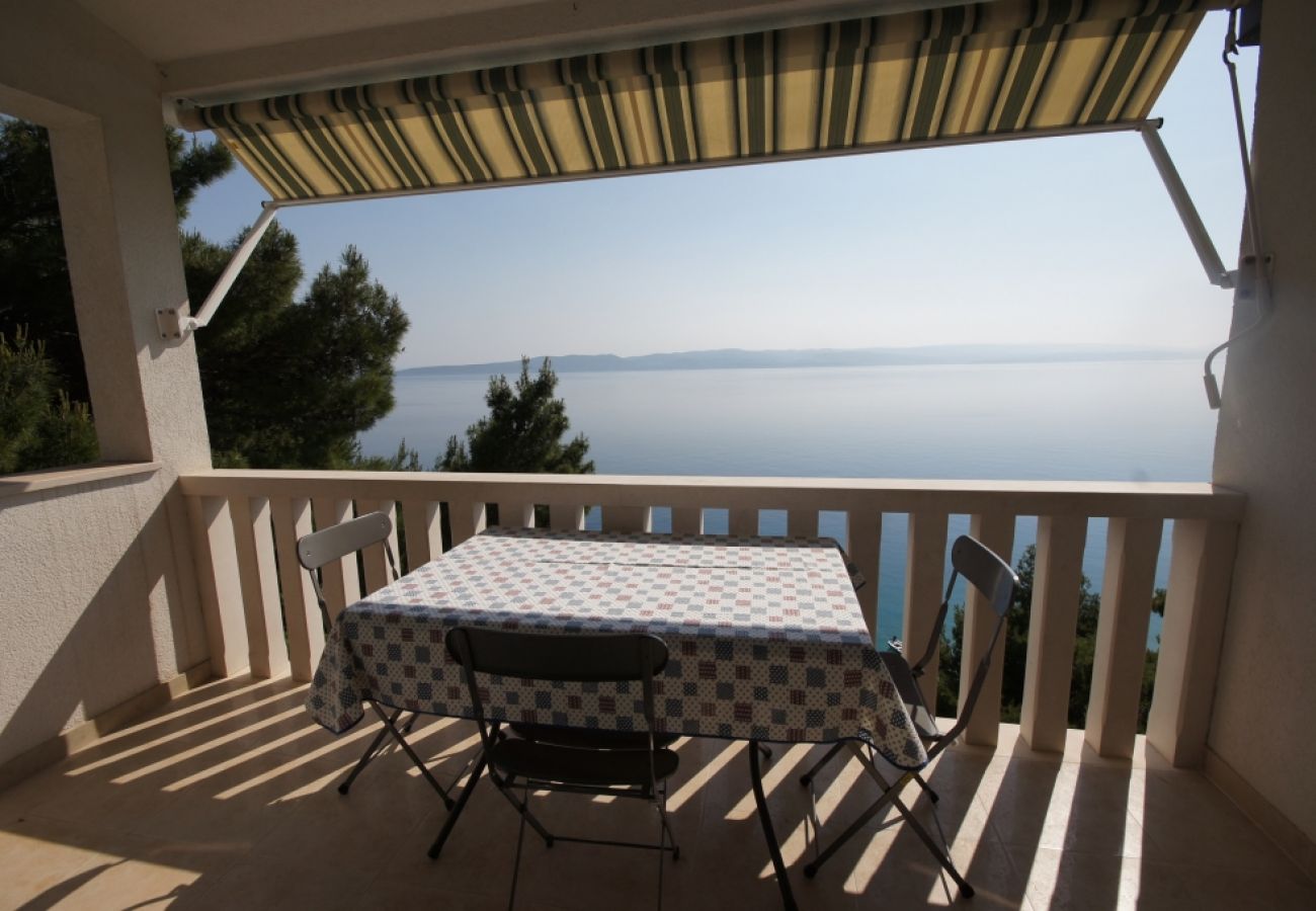 Apartment in Brela - Apartment in Brela with Seaview, Terrace, Air condition, WIFI (75-5)