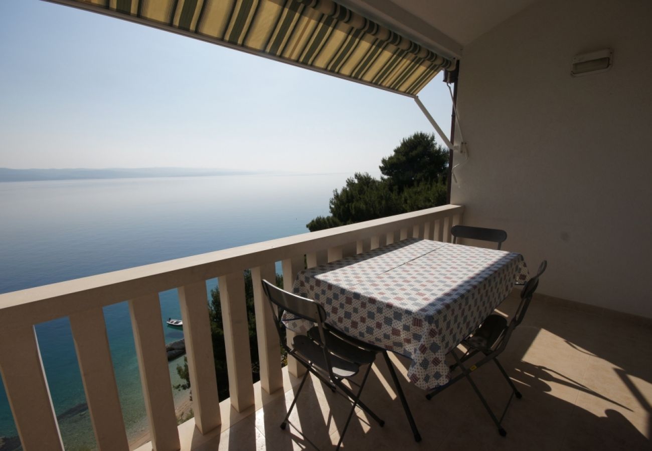 Apartment in Brela - Apartment in Brela with Seaview, Terrace, Air condition, WIFI (75-5)