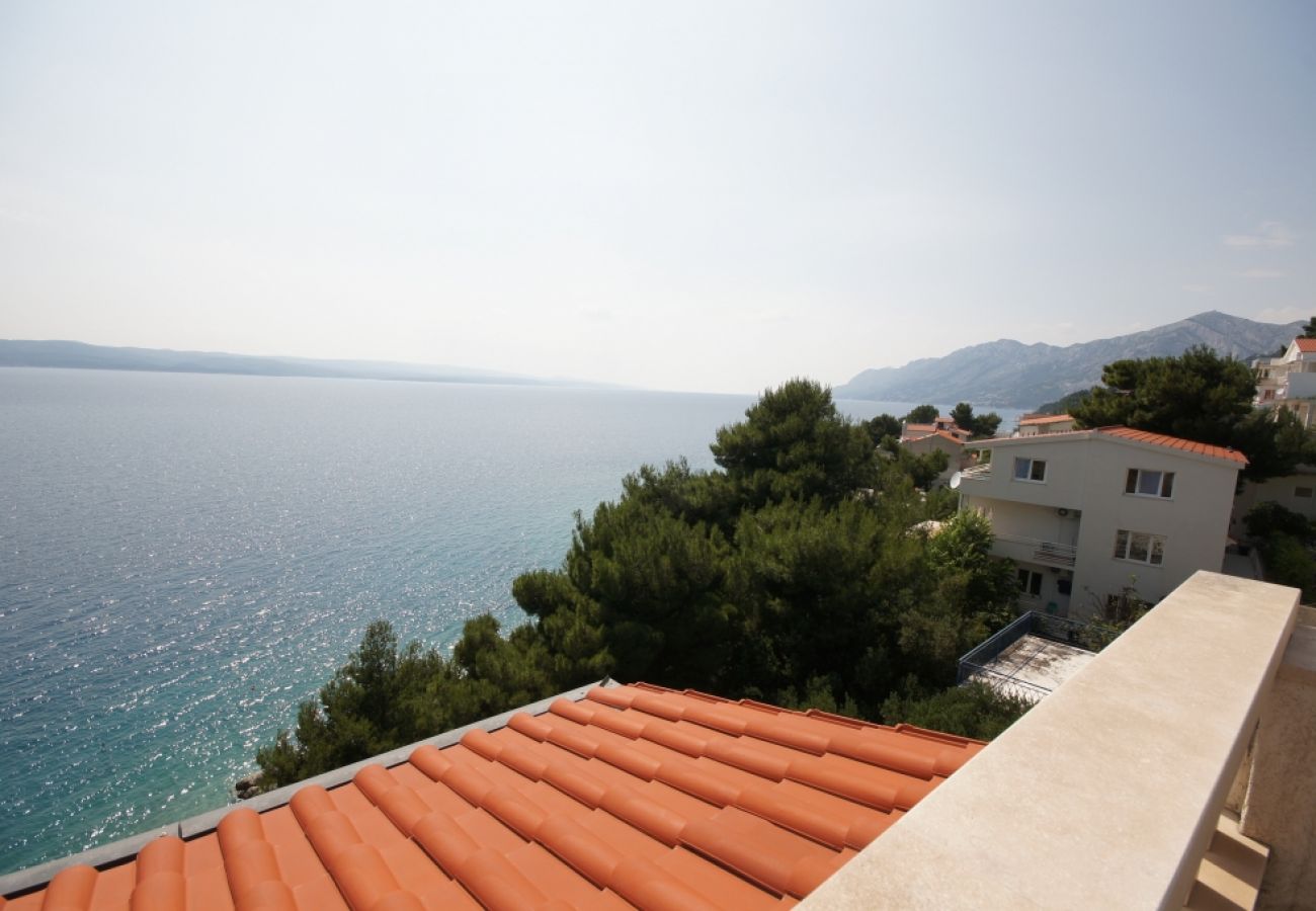 Apartment in Brela - Apartment in Brela with Seaview, Terrace, Air condition, WIFI (75-8)