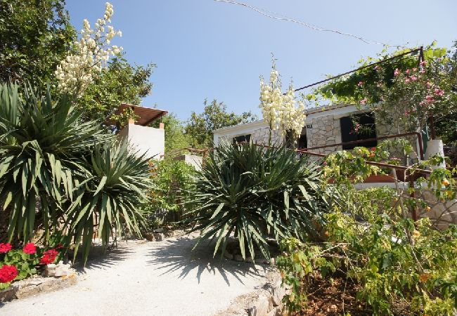 House in Vis - Holiday Home in Vis with Terrace, Air condition, Dishwasher (139-2) House in Vis - Holiday Home in Vis with Terrace, Air condition, Dishwasher (139-2)