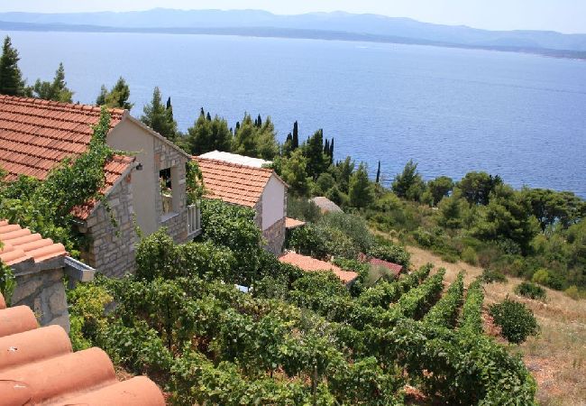 House in Murvica - Holiday Home in Murvica with Seaview, Terrace, Air condition, WIFI (146-1) House in Murvica - Holiday Home in Murvica with Seaview, Terrace, Air condition, WIFI (146-1)