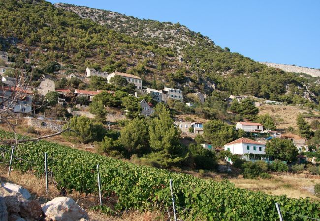 House in Murvica - Holiday Home in Murvica with Seaview, Terrace, Air condition, WIFI (146-1) House in Murvica - Holiday Home in Murvica with Seaview, Terrace, Air condition, WIFI (146-1)