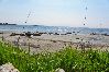 Apartment in Zambratija - Apartment in Zambratija with Seaview, Balcony, Air condition, WIFI (158-1) Apartment in Zambratija - Apartment in Zambratija with Seaview, Balcony, Air condition, WIFI (158-1)