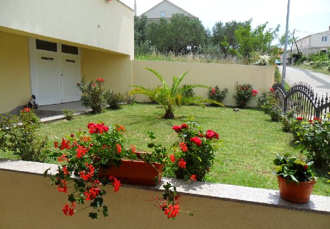 Apartment in Drage - Apartment in Drage with Seaview, Balcony, Air condition, WIFI (566-1) Apartment in Drage - Apartment in Drage with Seaview, Balcony, Air condition, WIFI (566-1)