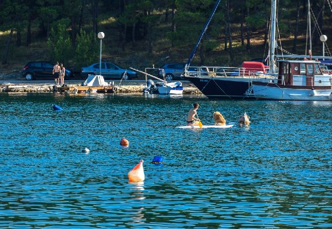 Apartment in Drage - Apartment in Drage with Seaview, Balcony, Air condition, WIFI (566-1) Apartment in Drage - Apartment in Drage with Seaview, Balcony, Air condition, WIFI (566-1)