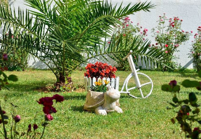 Apartment in Drage - Apartment in Drage with Seaview, Balcony, Air condition, WIFI (566-2) Apartment in Drage - Apartment in Drage with Seaview, Balcony, Air condition, WIFI (566-2)