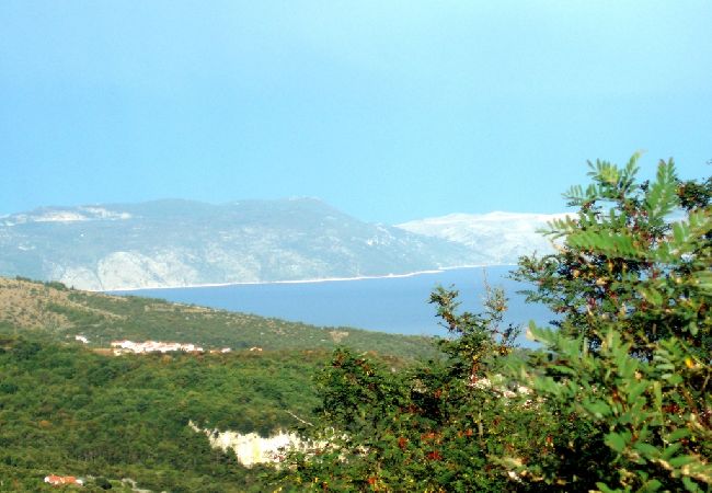 House in Rabac - Holiday Home in Rabac with Seaview, Air condition, WIFI, Washing machine (577-1) House in Rabac - Holiday Home in Rabac with Seaview, Air condition, WIFI, Washing machine (577-1)