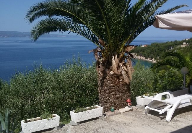 Apartment in Stanici - Apartment in Stanići with Seaview, Balcony, Air condition, WIFI (634-3) Apartment in Stanici - Apartment in Stanići with Seaview, Balcony, Air condition, WIFI (634-3)