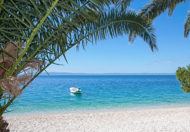 Apartment in Brist - Apartment in Brist with Seaview, Balcony, Air condition, WIFI (641-1) Apartment in Brist - Apartment in Brist with Seaview, Balcony, Air condition, WIFI (641-1)