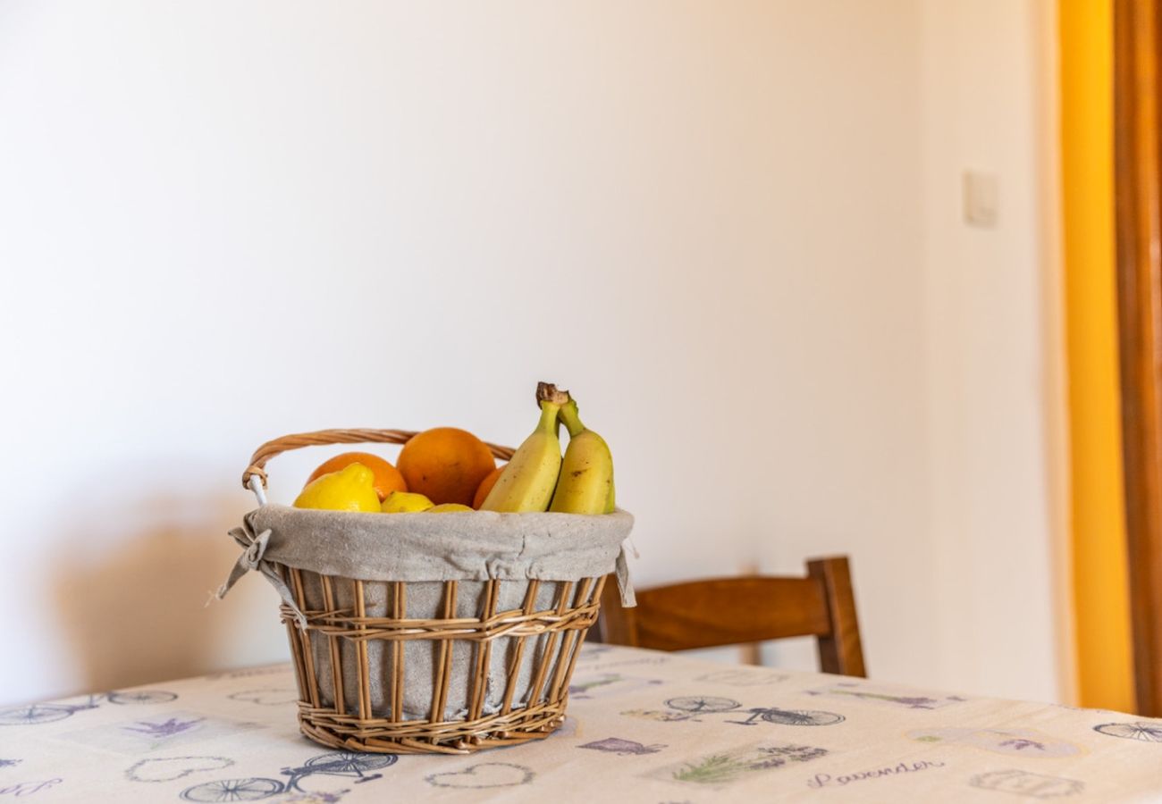 Apartment in Rab - Apartment in Barbat with Seaview, Balcony, Air condition (660-1)