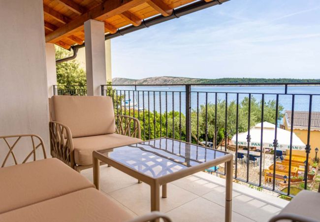Apartment in Rab - Apartment in Barbat with Seaview, Balcony, Air condition (660-4)