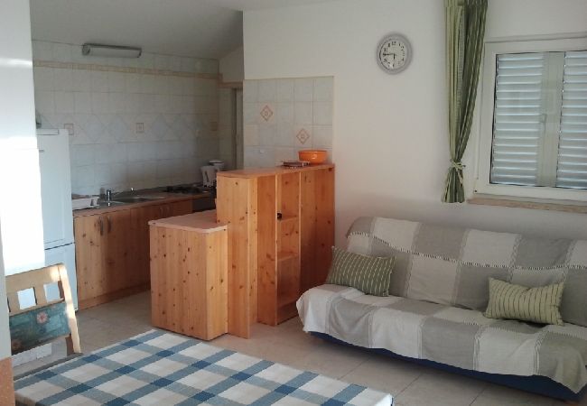 Apartment in Banjol - Apartment in Banjol with Seaview, Balcony, Air condition, WIFI (605-1) Apartment in Banjol - Apartment in Banjol with Seaview, Balcony, Air condition, WIFI (605-1)