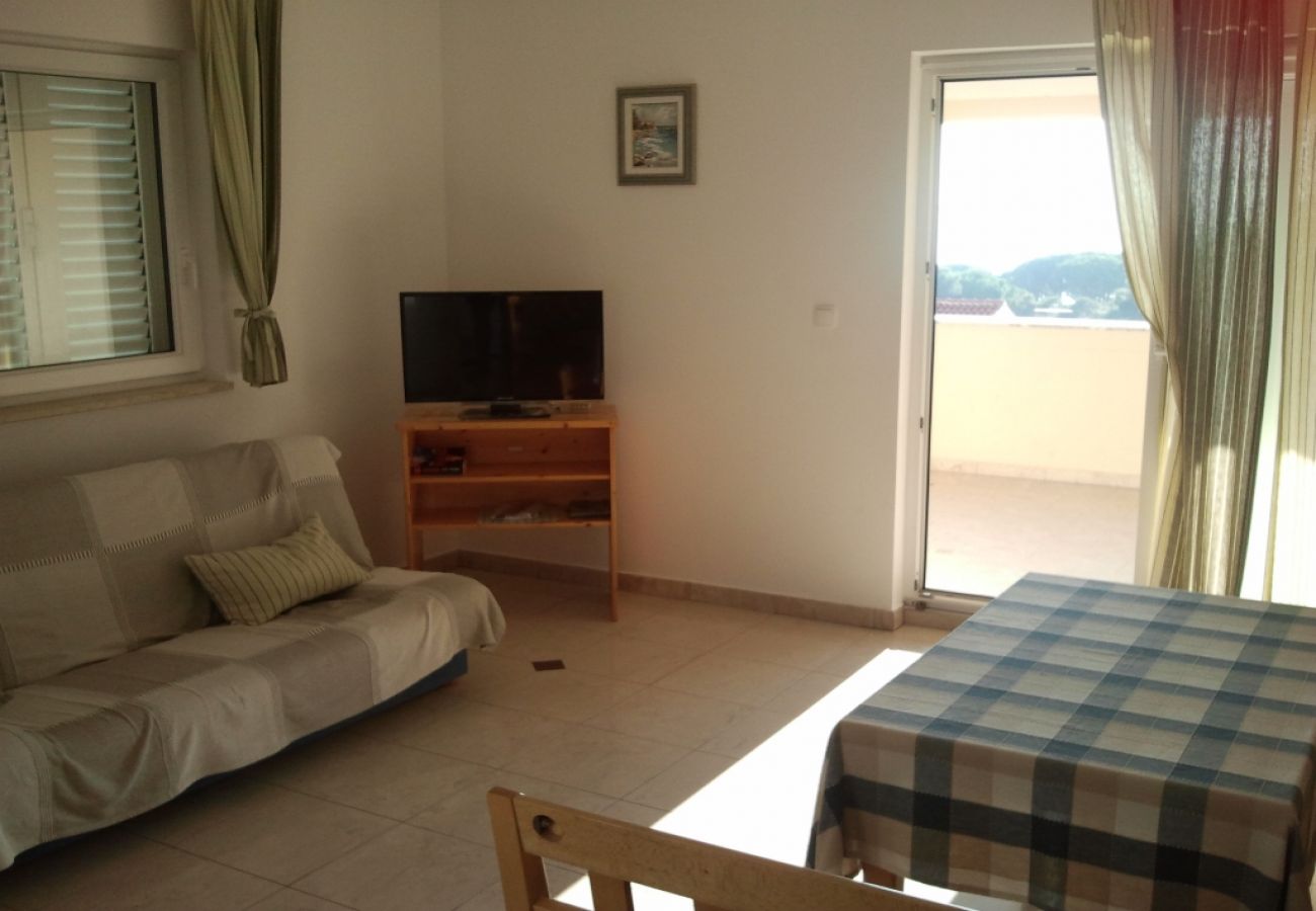 Apartment in Banjol - Apartment in Banjol with Seaview, Balcony, Air condition, WIFI (605-1)