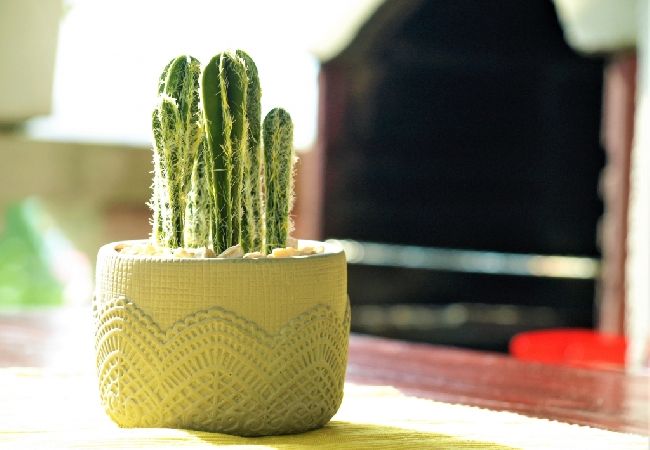 Apartment in Lopar - Apartment in Lopar with Terrace, Air condition, WIFI (613-1) Apartment in Lopar - Apartment in Lopar with Terrace, Air condition, WIFI (613-1)