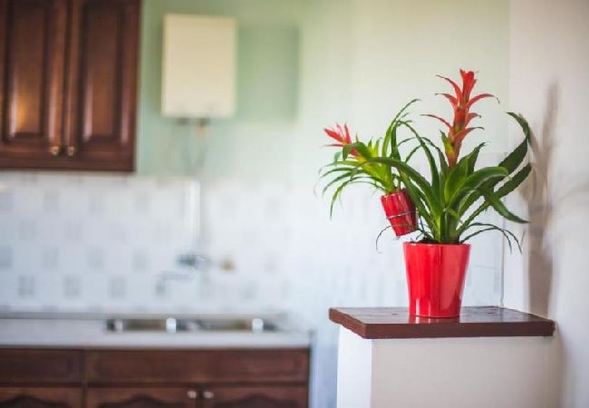 Apartment in Lopar - Apartment in Lopar with Seaview, Terrace, WIFI (824-1) Apartment in Lopar - Apartment in Lopar with Seaview, Terrace, WIFI (824-1)