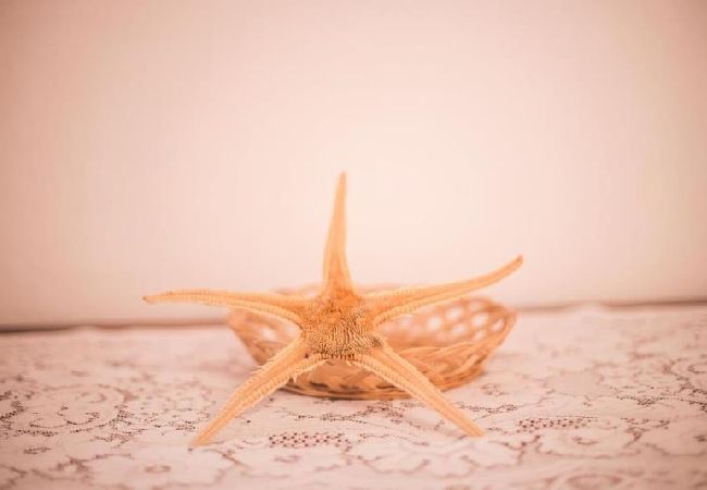 Apartment in Lopar - Apartment in Lopar with Seaview, Terrace, WIFI (824-1) Apartment in Lopar - Apartment in Lopar with Seaview, Terrace, WIFI (824-1)