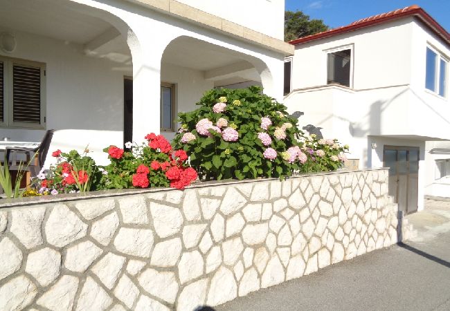 Apartment in Lopar - Apartment in Lopar with Seaview, Terrace, WIFI (824-1) Apartment in Lopar - Apartment in Lopar with Seaview, Terrace, WIFI (824-1)