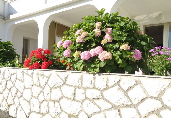 Apartment in Lopar - Apartment in Lopar with Seaview, Terrace, WIFI (824-1) Apartment in Lopar - Apartment in Lopar with Seaview, Terrace, WIFI (824-1)