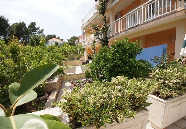 Apartment in Orebic - Apartment in Orebić with Seaview, Terrace, Air condition, WIFI (829-5) Apartment in Orebic - Apartment in Orebić with Seaview, Terrace, Air condition, WIFI (829-5)