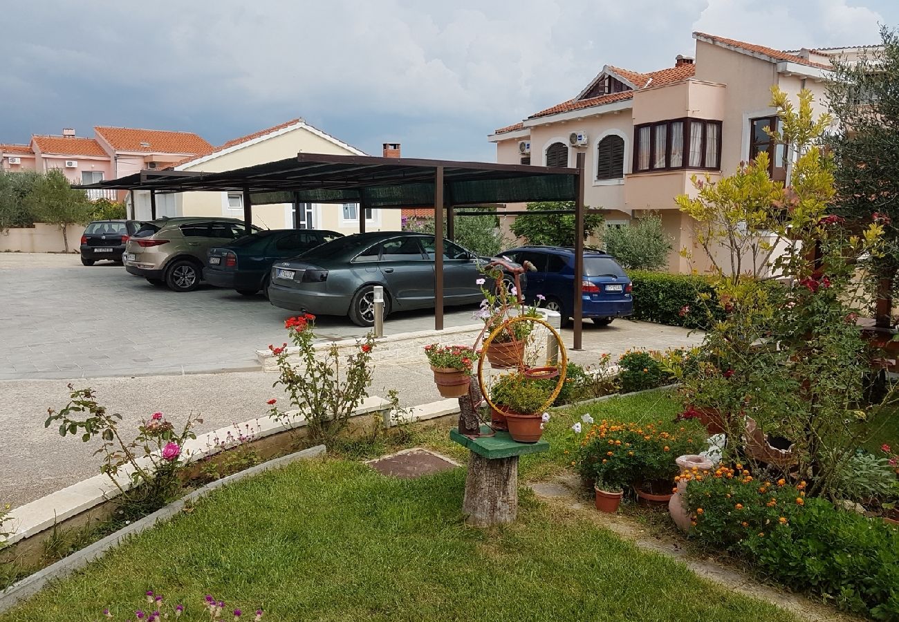 Apartment in Privlaka - Apartment in Privlaka with Terrace, Air condition, WIFI, Washing machine (821-1)