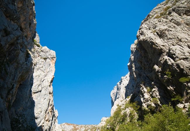 Apartment in Starigrad - Apartment in Starigrad-Paklenica with Seaview, Terrace, Air condition, WIFI (627-1) Apartment in Starigrad - Apartment in Starigrad-Paklenica with Seaview, Terrace, Air condition, WIFI (627-1)